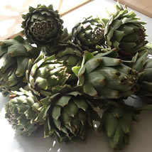 Artichokes vegetable cookery classes with Christine McFadden