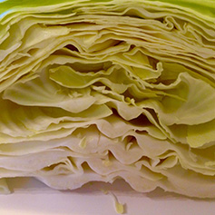 Cabbage recipes Christine McFadden cookery