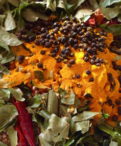 Curry spices cookery recipes Christine McFadden South West