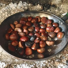 Learn how to cook chestnuts Dorset Foodie South West