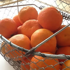 Seville oranges blog Christine McFadden