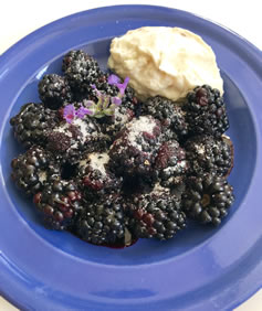 How to serve blackberries Christine McFadden recipes