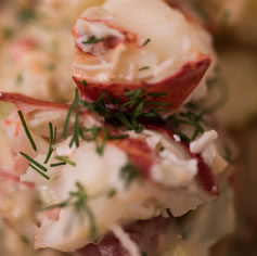 Learn to cook barbecued lobster Dorset Foodie south west