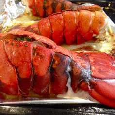 Lobster recipes Christine McFadden south west