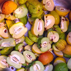 Quince japonica fruit recipe development Christine McFadden